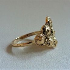 18k Gouden streeksieraad (ring)	