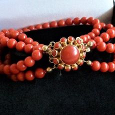 Bloedkoraal armband met gouden entourageslot
