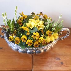 Groot Duits zilveren tafelstuk  / jardinière
