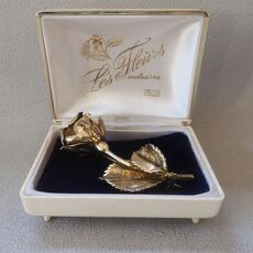 Zilver / vergulde broche