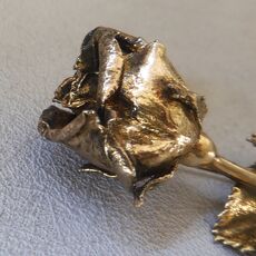 Zilver / vergulde broche